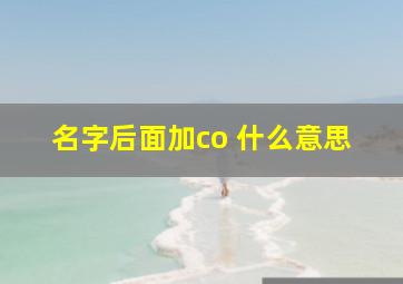 名字后面加co 什么意思